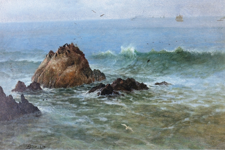 Albert Oil Painting Seal Rocks on Pacific Coast, California - Click Image to Close